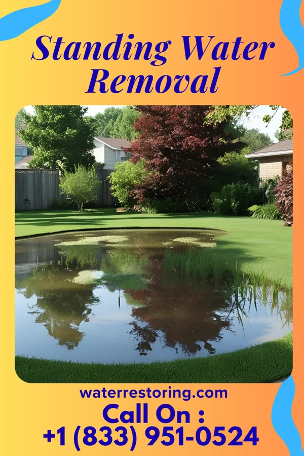 Standing Water Removal in Middletown, IA